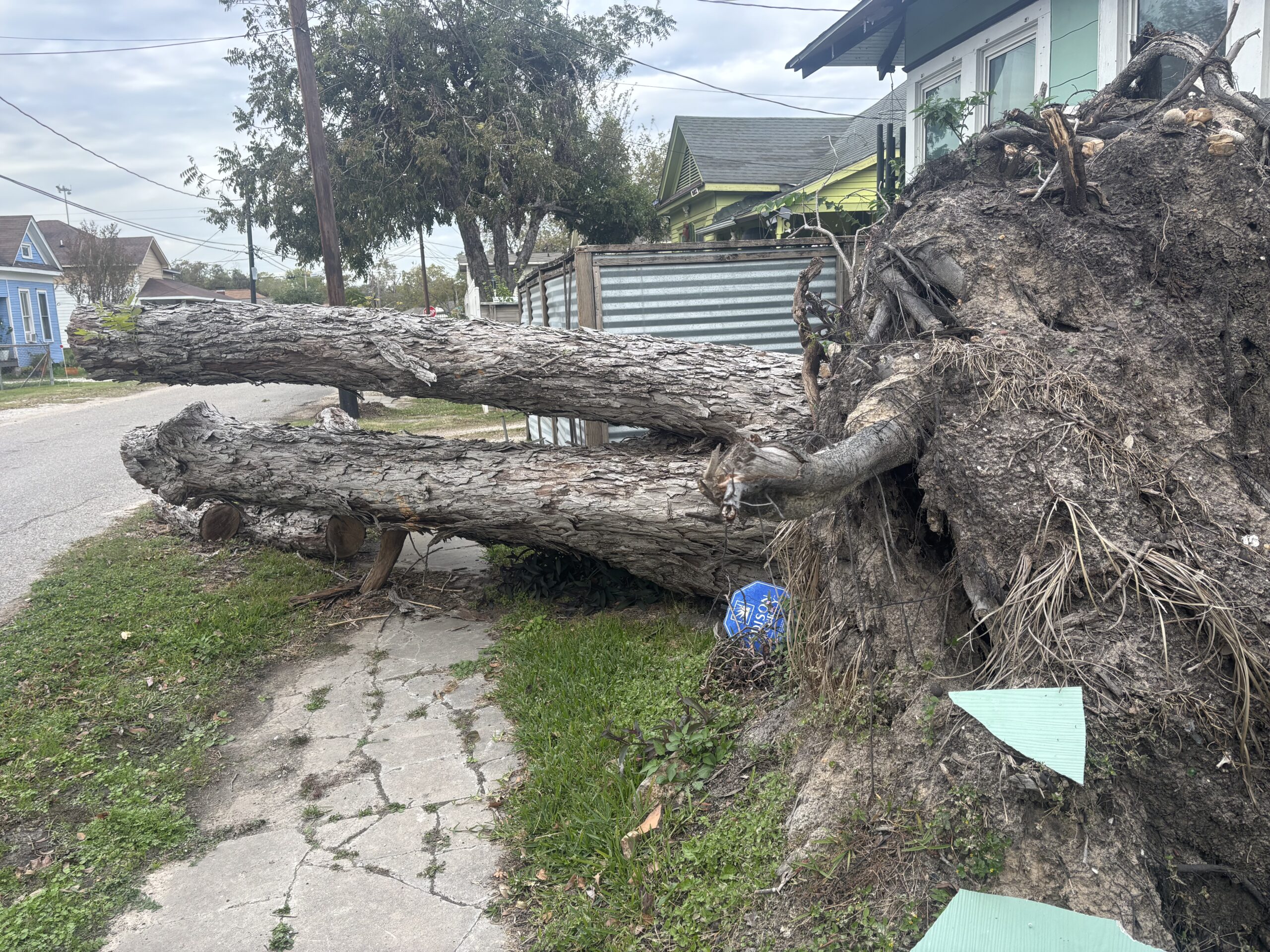 Fallen tree blocking sidewalk in Houston, highlighting storm damage and the need for roof inspections after severe weather.